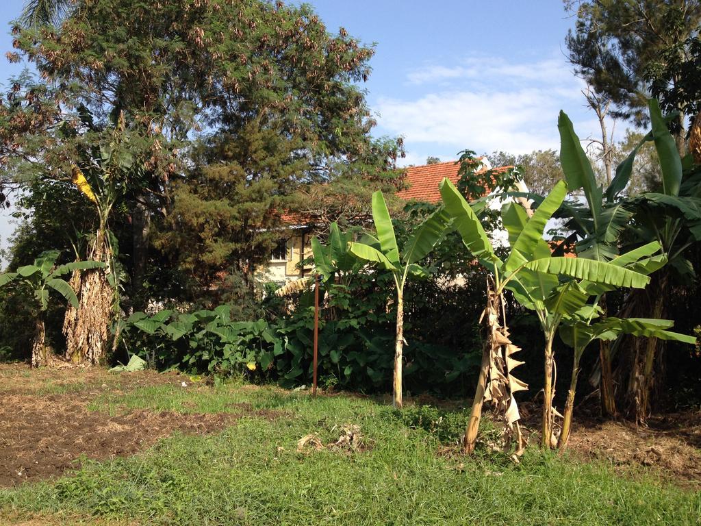 Hotel Bikeventures House Uganda Jinja Exteriér fotografie